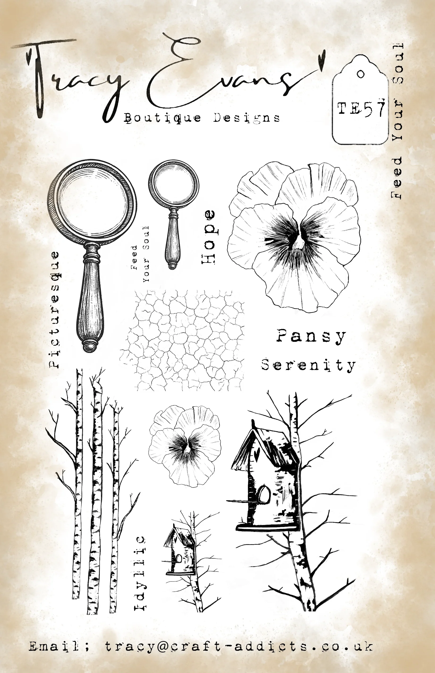 La Belleza de una Flor: Troque - Kraft Box Candle reseña y precio